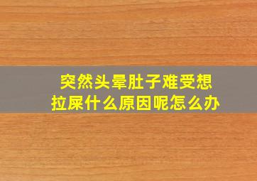 突然头晕肚子难受想拉屎什么原因呢怎么办