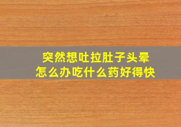 突然想吐拉肚子头晕怎么办吃什么药好得快