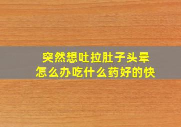 突然想吐拉肚子头晕怎么办吃什么药好的快