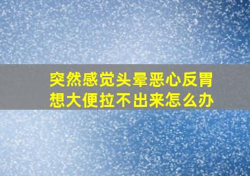 突然感觉头晕恶心反胃想大便拉不出来怎么办