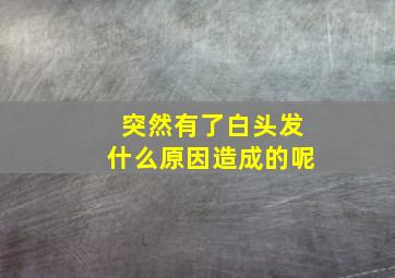 突然有了白头发什么原因造成的呢