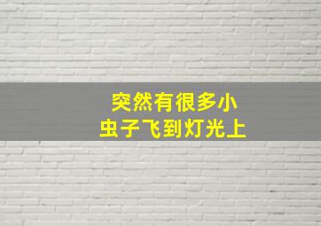 突然有很多小虫子飞到灯光上