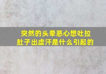 突然的头晕恶心想吐拉肚子出虚汗是什么引起的