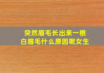 突然眉毛长出来一根白眉毛什么原因呢女生