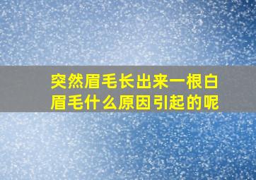 突然眉毛长出来一根白眉毛什么原因引起的呢