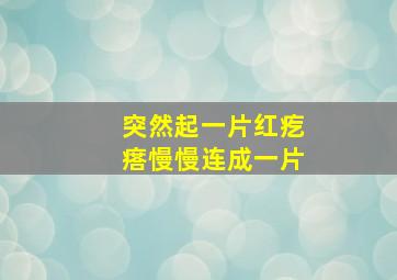 突然起一片红疙瘩慢慢连成一片