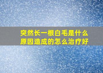 突然长一根白毛是什么原因造成的怎么治疗好