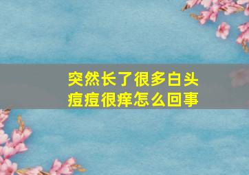 突然长了很多白头痘痘很痒怎么回事