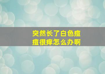 突然长了白色痘痘很痒怎么办啊