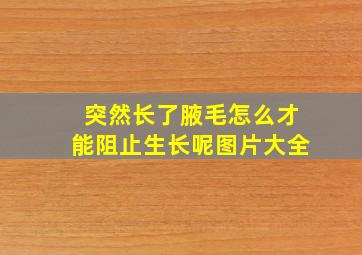 突然长了腋毛怎么才能阻止生长呢图片大全