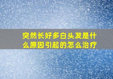 突然长好多白头发是什么原因引起的怎么治疗