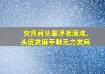 突然间头晕呼吸困难,头皮发麻手脚无力发麻