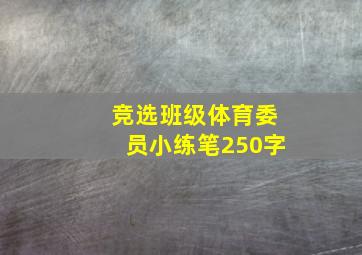 竞选班级体育委员小练笔250字