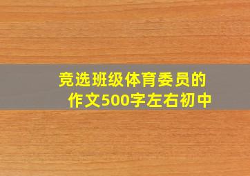 竞选班级体育委员的作文500字左右初中