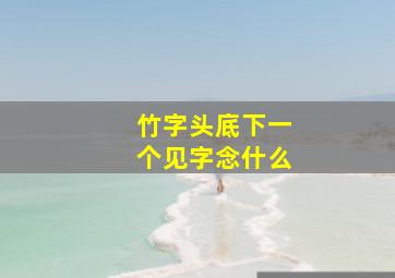 竹字头底下一个见字念什么