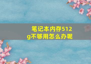 笔记本内存512g不够用怎么办呢