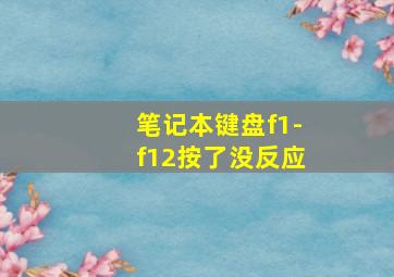 笔记本键盘f1-f12按了没反应