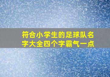 符合小学生的足球队名字大全四个字霸气一点