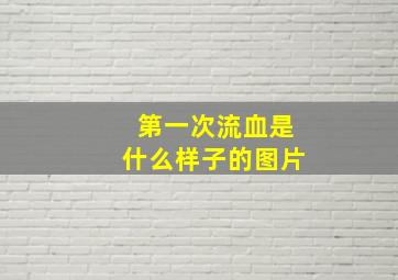 第一次流血是什么样子的图片