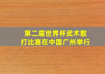 第二届世界杯武术散打比赛在中国广州举行