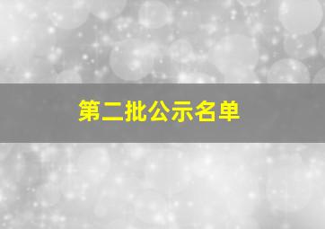 第二批公示名单