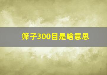 筛子300目是啥意思