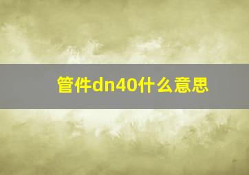 管件dn40什么意思