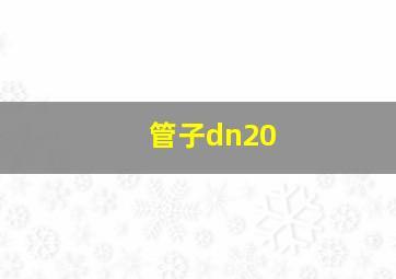 管子dn20