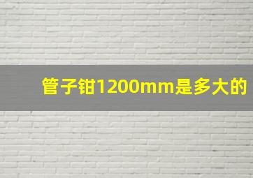 管子钳1200mm是多大的