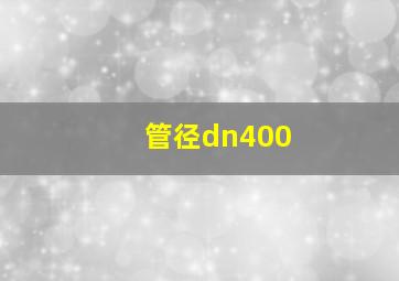 管径dn400