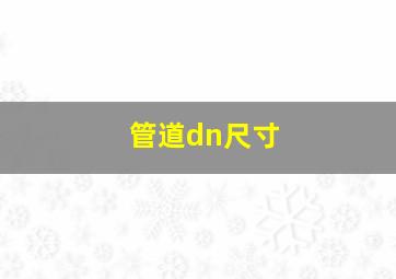 管道dn尺寸