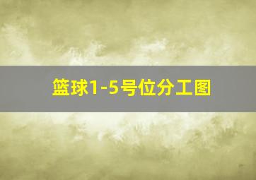 篮球1-5号位分工图