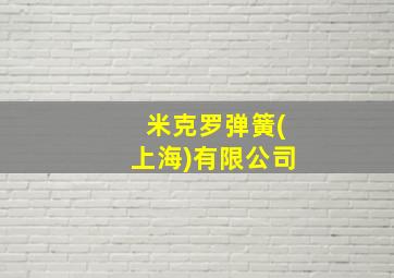 米克罗弹簧(上海)有限公司