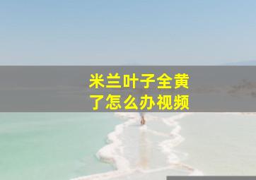 米兰叶子全黄了怎么办视频