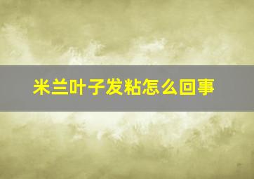 米兰叶子发粘怎么回事