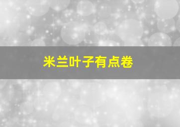 米兰叶子有点卷