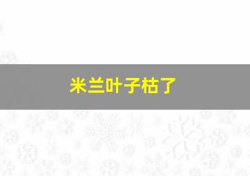 米兰叶子枯了