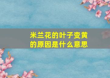 米兰花的叶子变黄的原因是什么意思