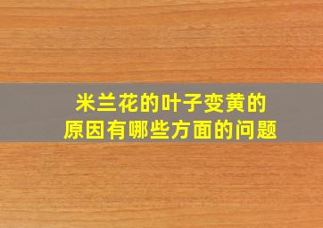 米兰花的叶子变黄的原因有哪些方面的问题