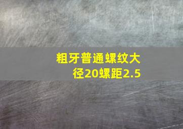 粗牙普通螺纹大径20螺距2.5