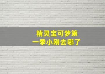 精灵宝可梦第一季小刚去哪了