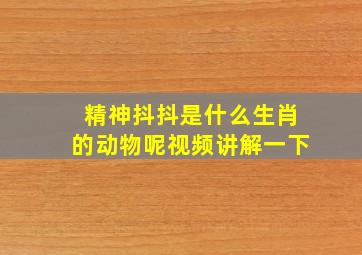 精神抖抖是什么生肖的动物呢视频讲解一下