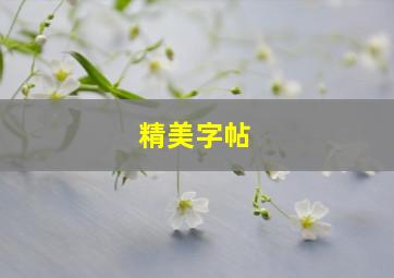 精美字帖