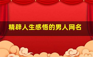 精辟人生感悟的男人网名