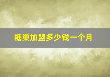 糖巢加盟多少钱一个月