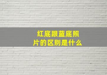 红底跟蓝底照片的区别是什么