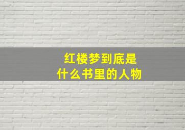 红楼梦到底是什么书里的人物