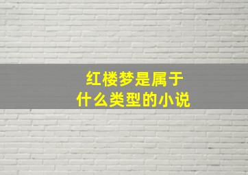 红楼梦是属于什么类型的小说