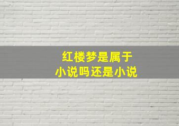 红楼梦是属于小说吗还是小说