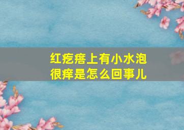 红疙瘩上有小水泡很痒是怎么回事儿